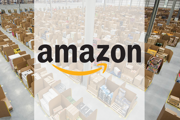 Amazon Project